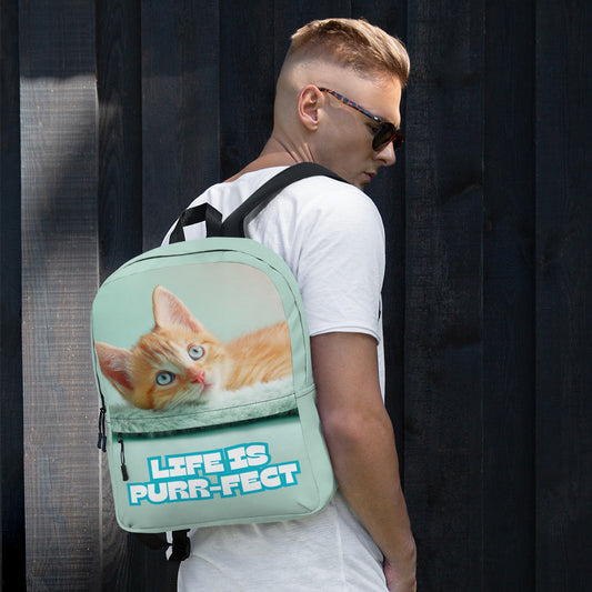 Orange Kitty on a Mint Green Backpack | Unique Everyday Designz Home, Gifts & Apparel A Lid for Every Pot ~Everyday Designz~