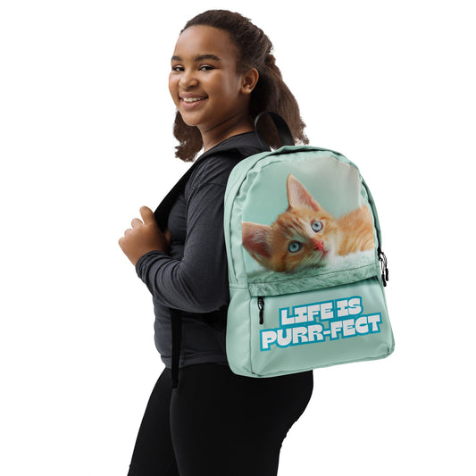 Orange Kitty on a Mint Green Backpack | Unique Everyday Designz Home, Gifts & Apparel A Lid for Every Pot ~Everyday Designz~